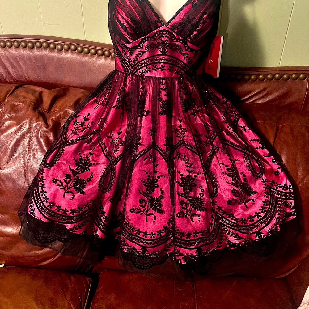 Brand NWT never worn!  Hot Pink and Black lace mini HoCo or Prom! Gorgeous!